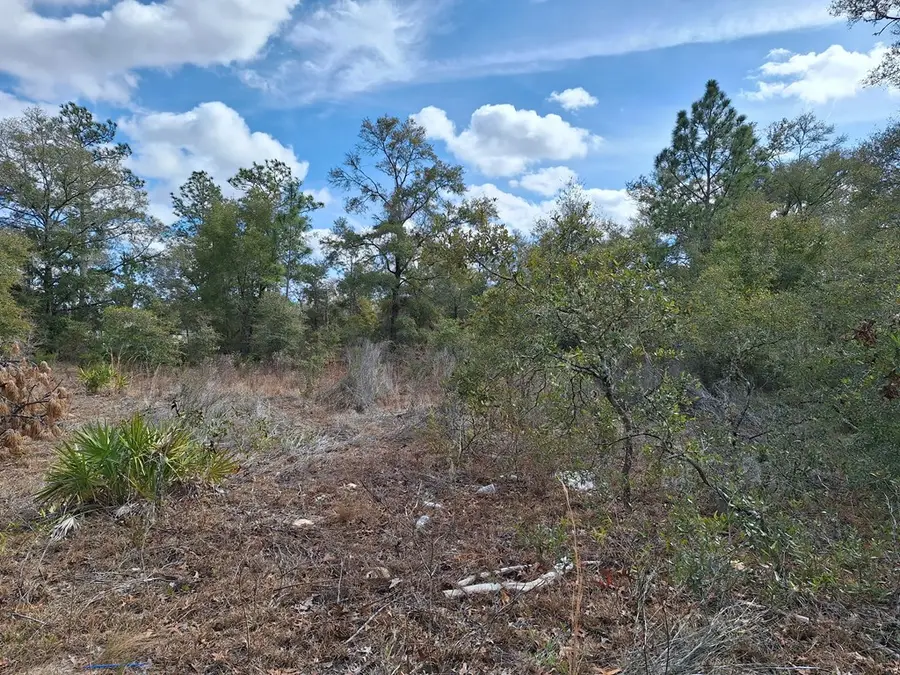 Lot 12 NE 90th Ave, Bronson, FL 32621 - #2