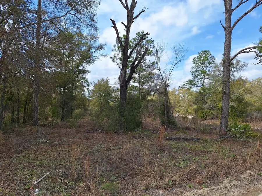 Lot 12 NE 90th Ave, Bronson, FL 32621 - #3