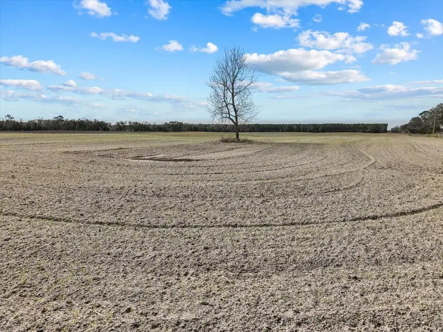 00 NW 10th Ave, Chiefland, FL 32626 - #3