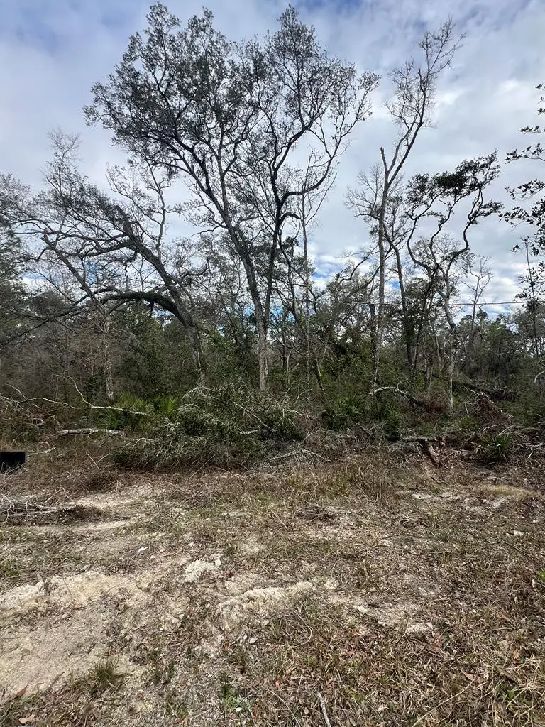 TBD NE 281st Ave, Old Town, FL 32680 - #2