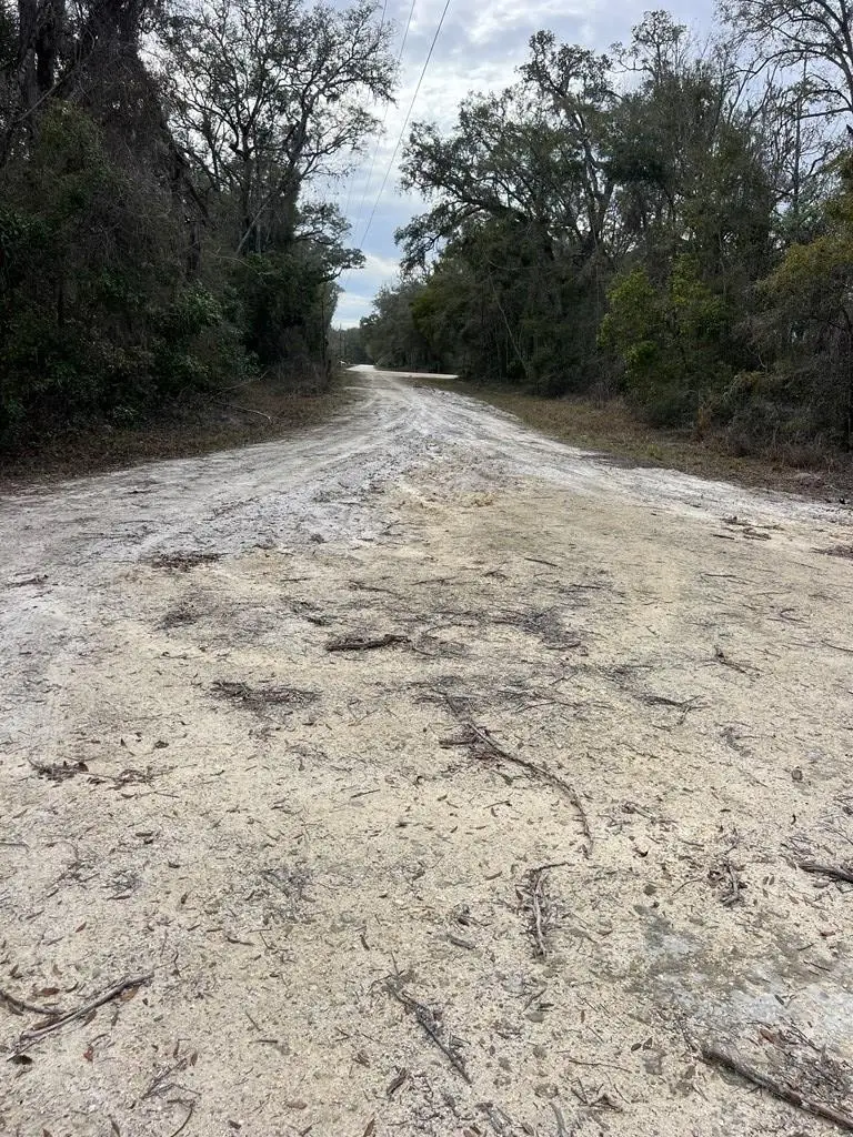 TBD NE 281st Ave, Old Town, FL 32680 - #3