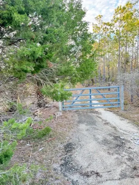 Hwy 361, Steinhatchee, FL 32359