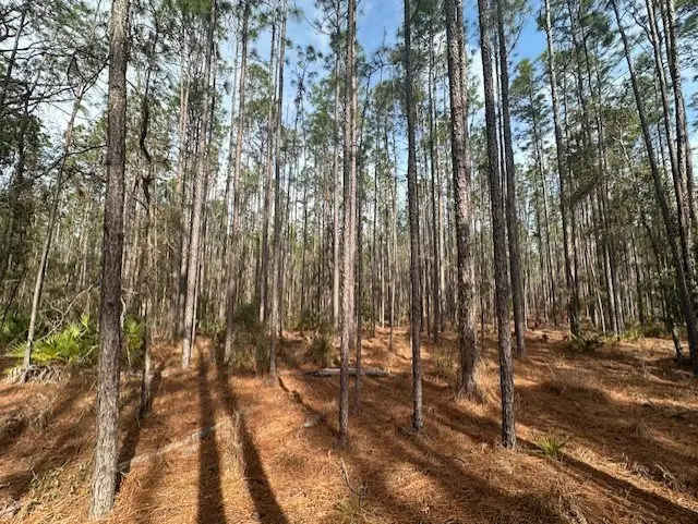 Us Hwy 129, Bell, FL 32619 - #3