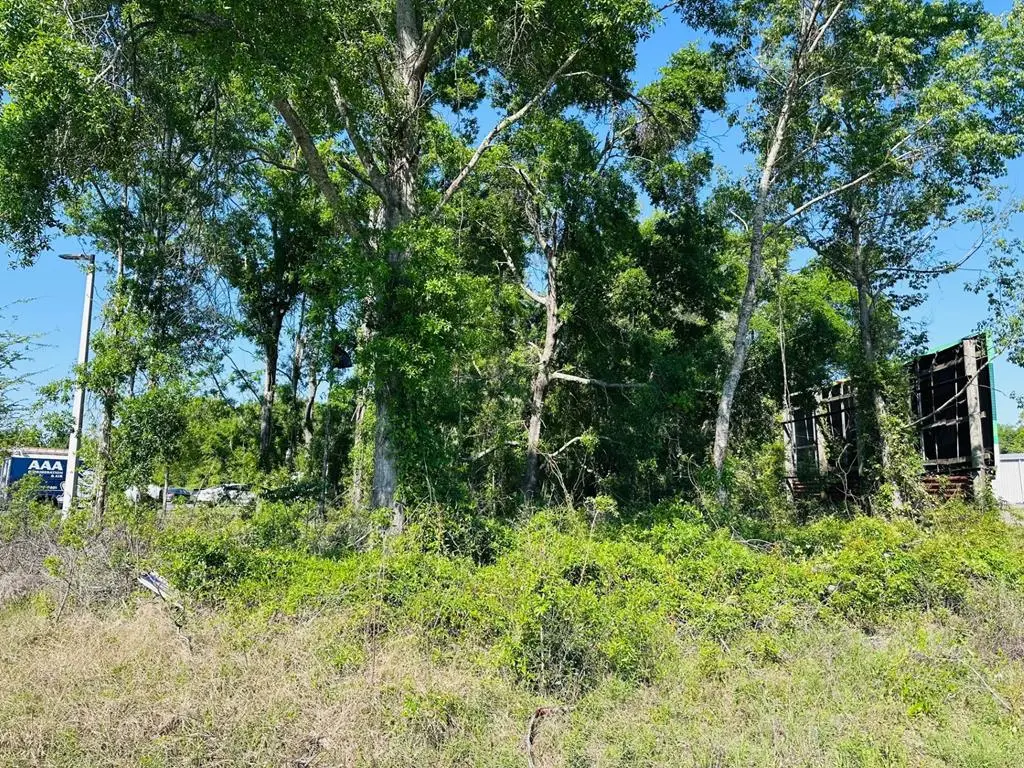 0 N Young Blvd, Chiefland, FL 32626 - #1