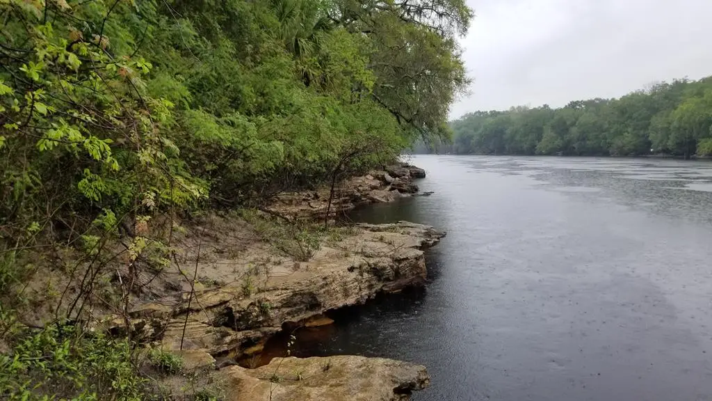 198th Trail, Suwannee, FL 32071 - #1