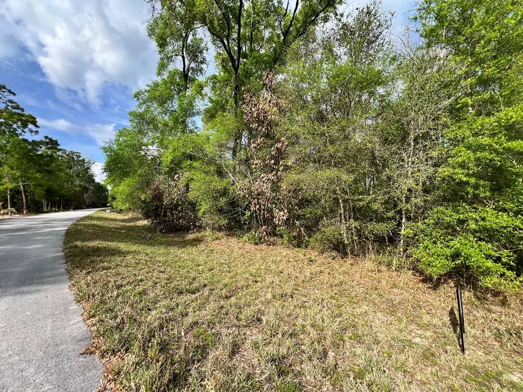 00 NW 74th Ct, Chiefland, FL 32626 - #1