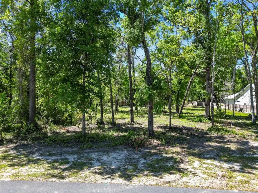 00 Katherine Way, Fanning Springs, FL 32693 - #2