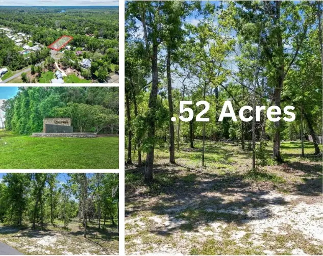 00 Katherine Way, Fanning Springs, FL 32693 - #3