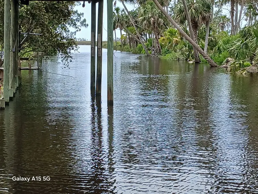 49 SE 861st Ave, Cross City South, FL 32692 - #3