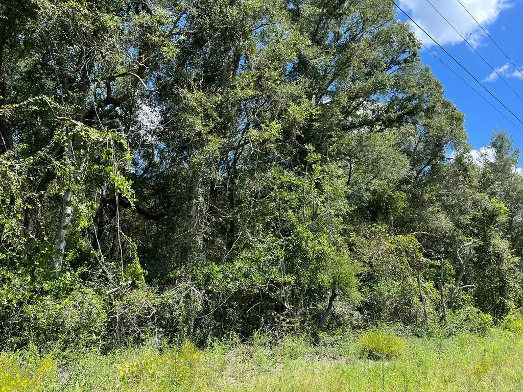 0 NW Hwy 19, Chiefland, FL 32626 - #1