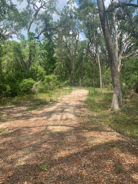 200 364th Ave, Old Town, FL 32680 - #3