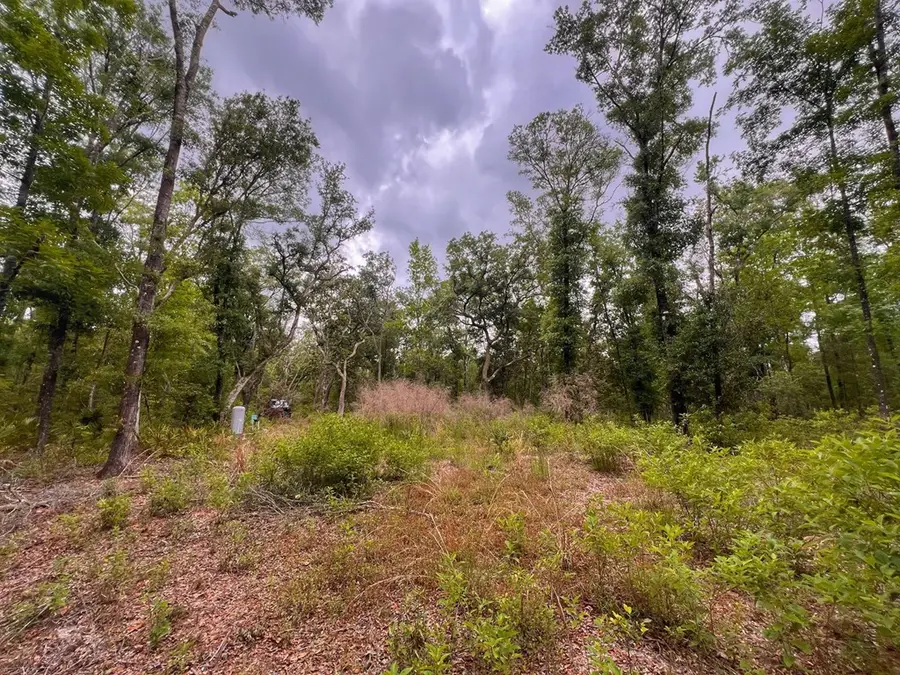 110 NE 770th St, Old Town, FL 32680 - #2