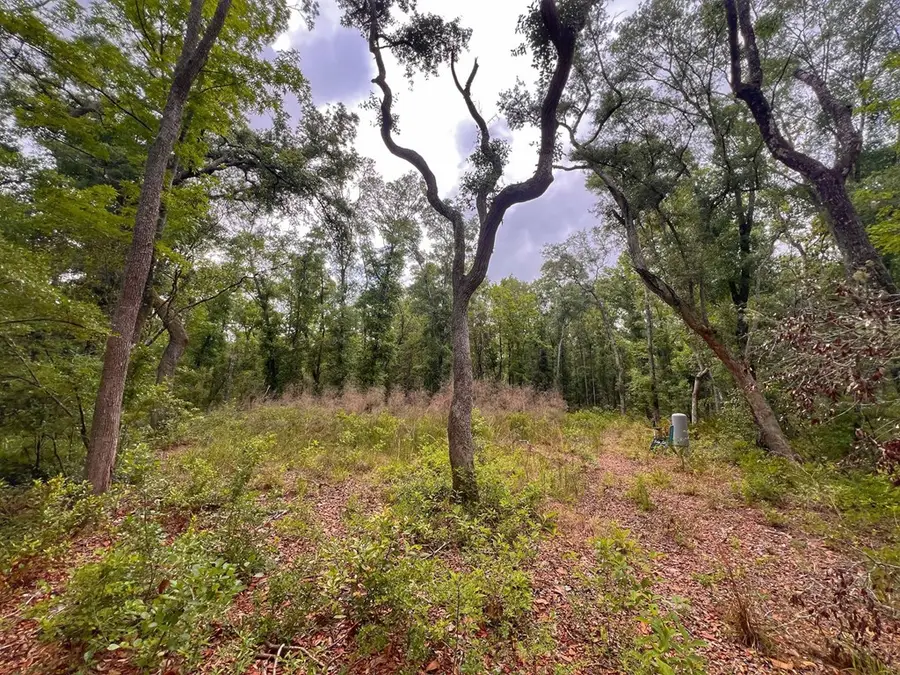 110 NE 770th St, Old Town, FL 32680 - #3