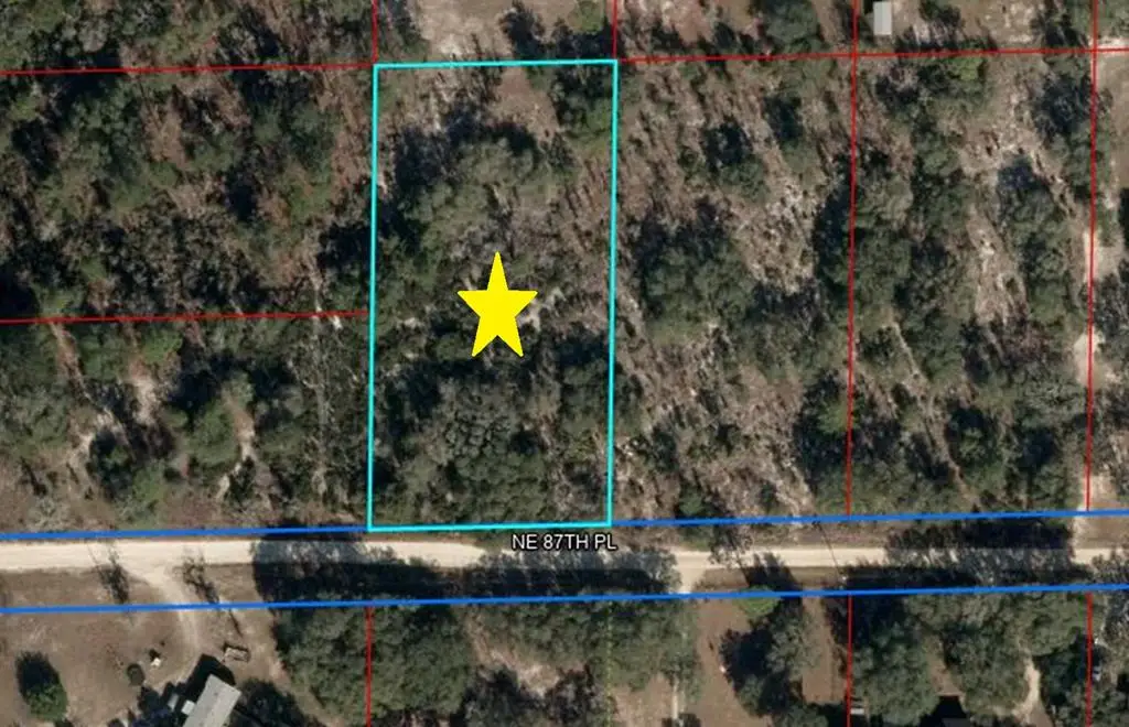Lot 115 NE 87th Pl, Bronson, FL 32621 - #1