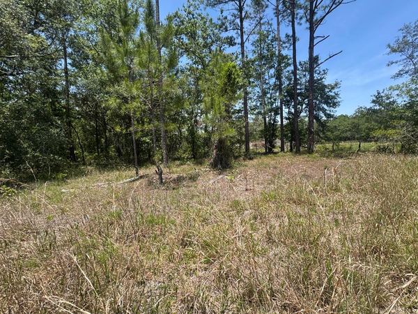 NE 126th St, Bronson, FL 32621