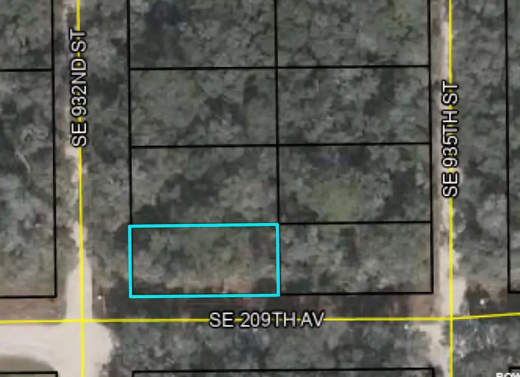 TBD SE 209th Ave, Old Town, FL 32680 - #1