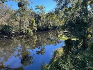 1838 NE River Rd, Steinhatchee, FL 32359 - #1