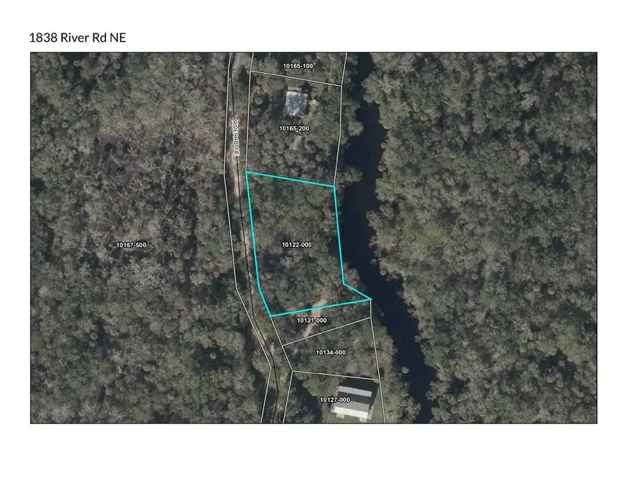 1838 NE River Rd, Steinhatchee, FL 32359 - #2