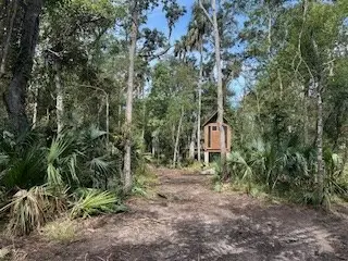 1838 NE River Rd, Steinhatchee, FL 32359 - #3