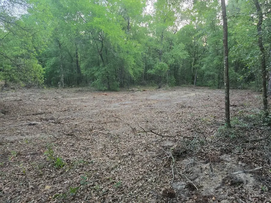 81st St, Bronson, FL 32621 - #2