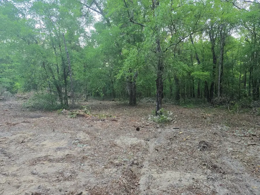 81st St, Bronson, FL 32621 - #3