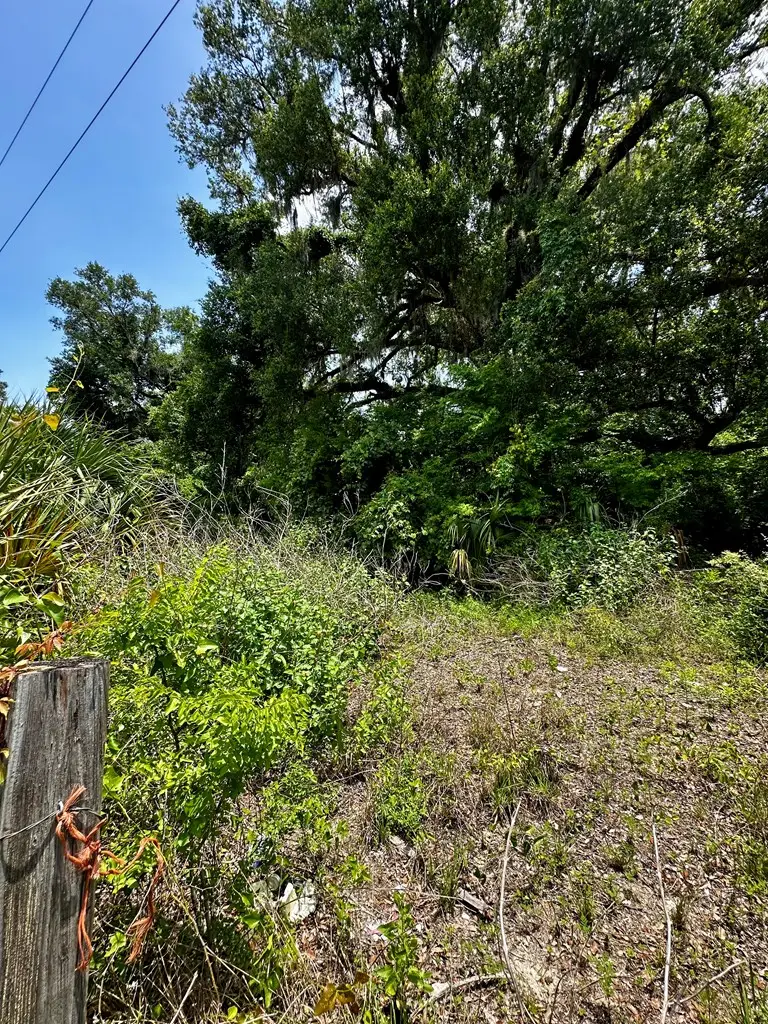 361 SE 242nd St, Cross City, FL 32628 - #2