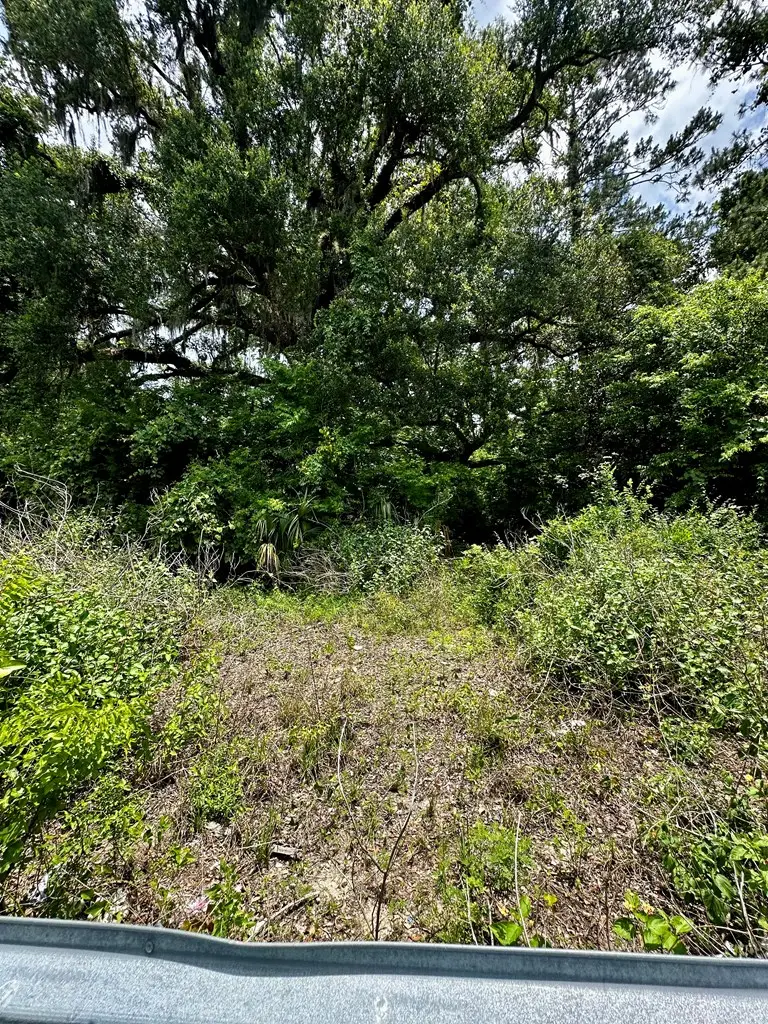 361 SE 242nd St, Cross City, FL 32628 - #3