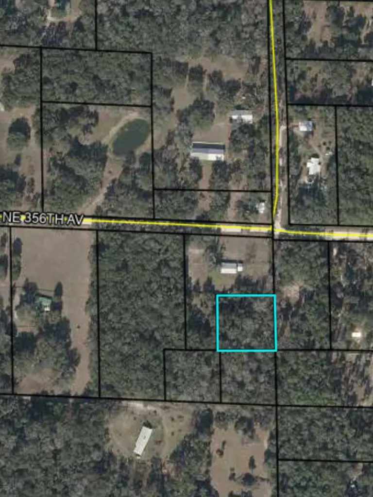 NE 356th Ave, Old Town, FL 32680 - #3