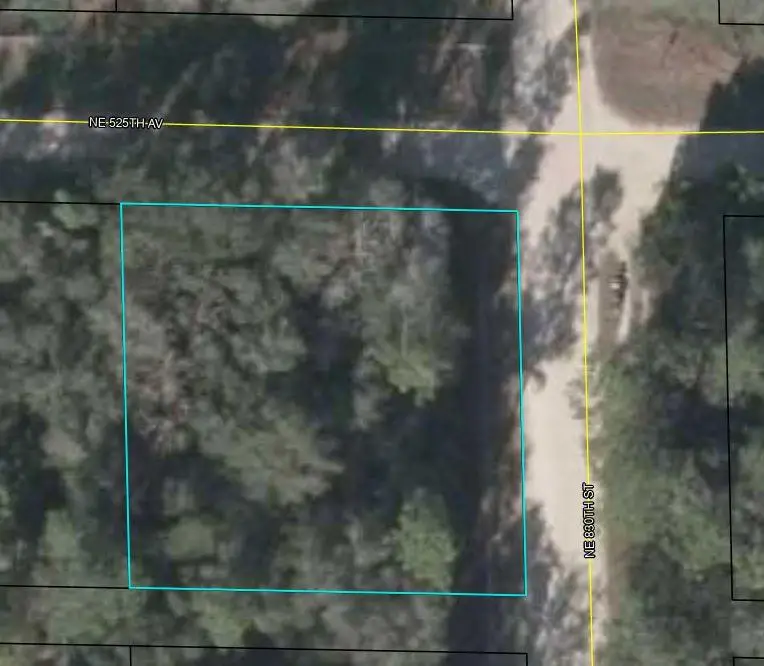 NE 830th St, Old Town, FL 32680 - #1