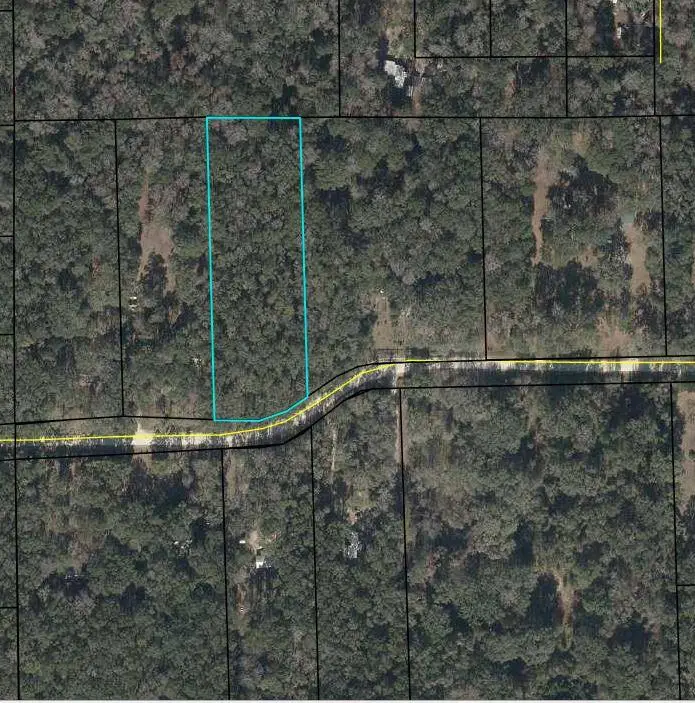 NE 173rd Ave, Old Town, FL 32680 - #1