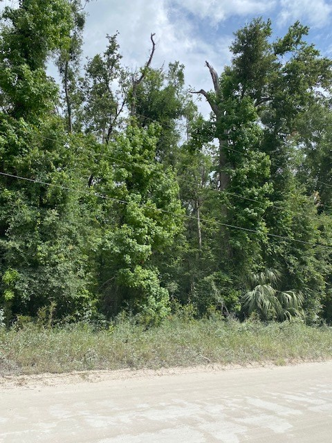 NE 173rd Ave, Old Town, FL 32680 - #3