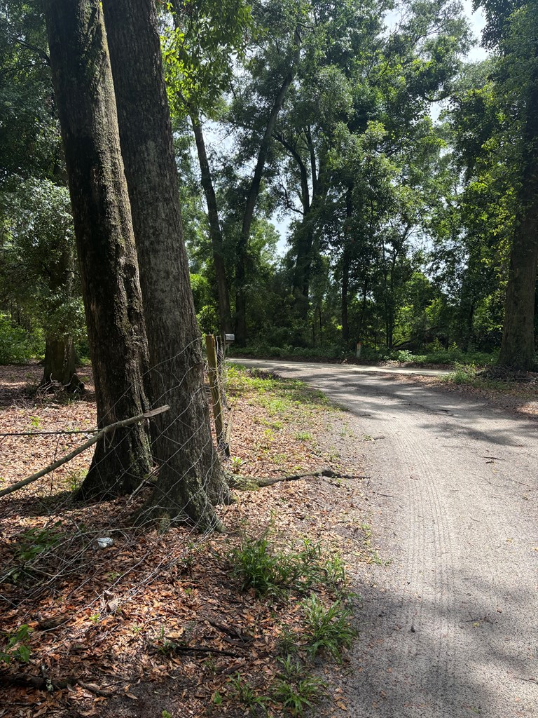 800 SE Lynx Rd, Branford, FL 32008 - #2