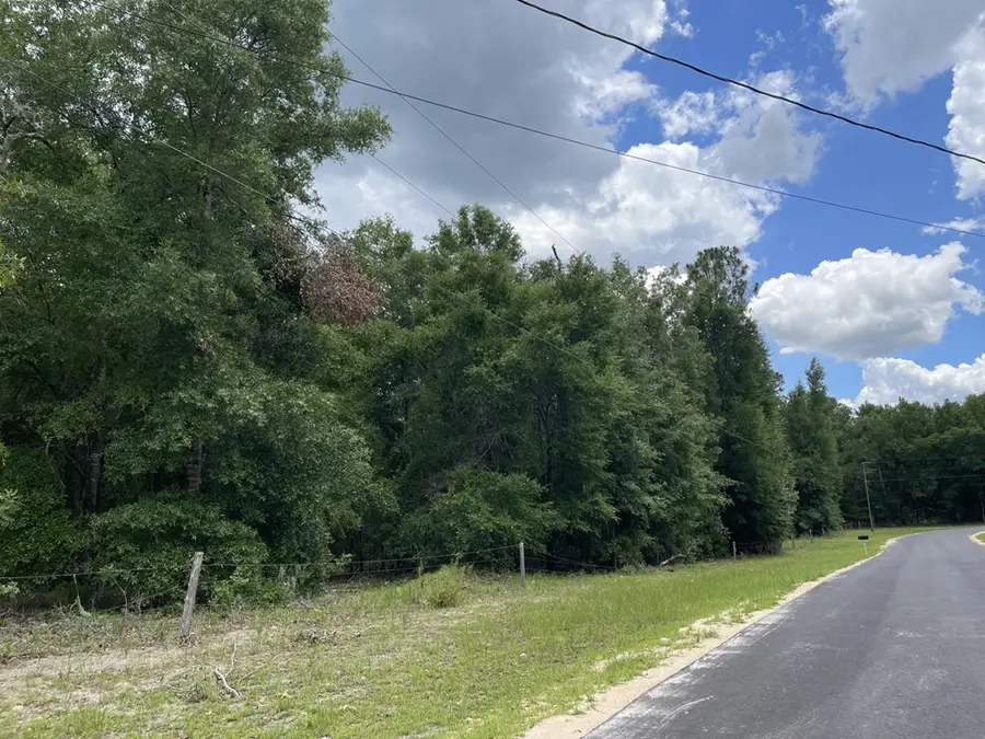 TBD NE 58th Ter, High Springs, FL 32643 - #3