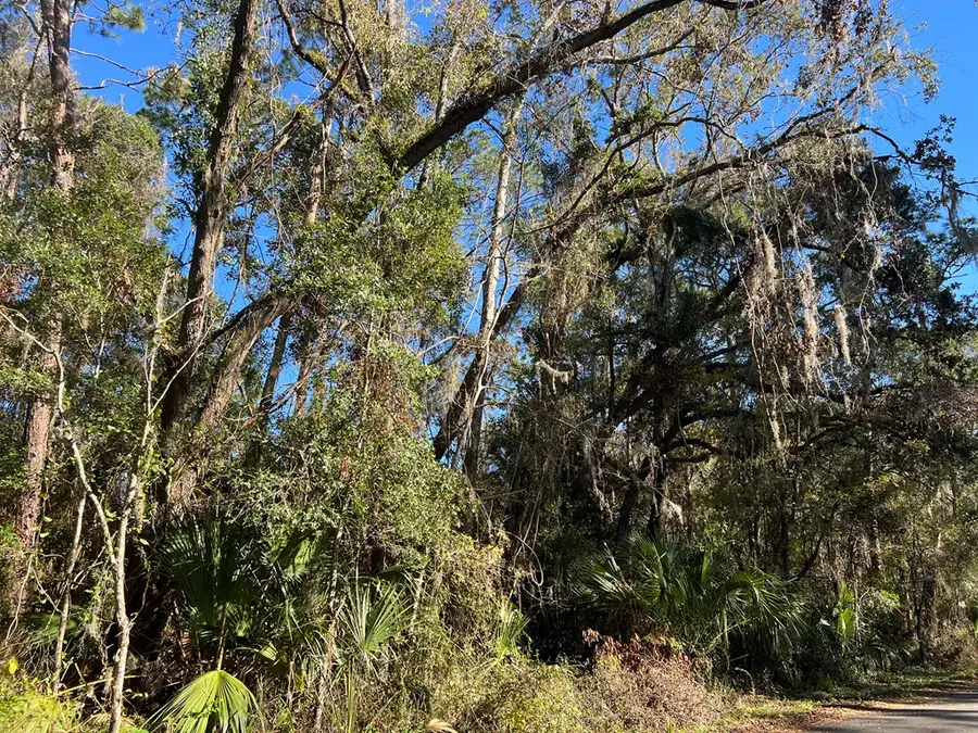 0 SE 21st Ave, Cross City, FL 32628 - #3