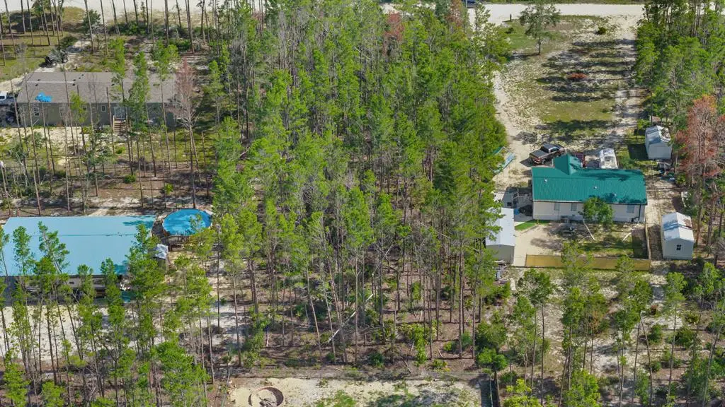 NE Oak Pond Ln, Steinhatchee, FL 32359 - #1