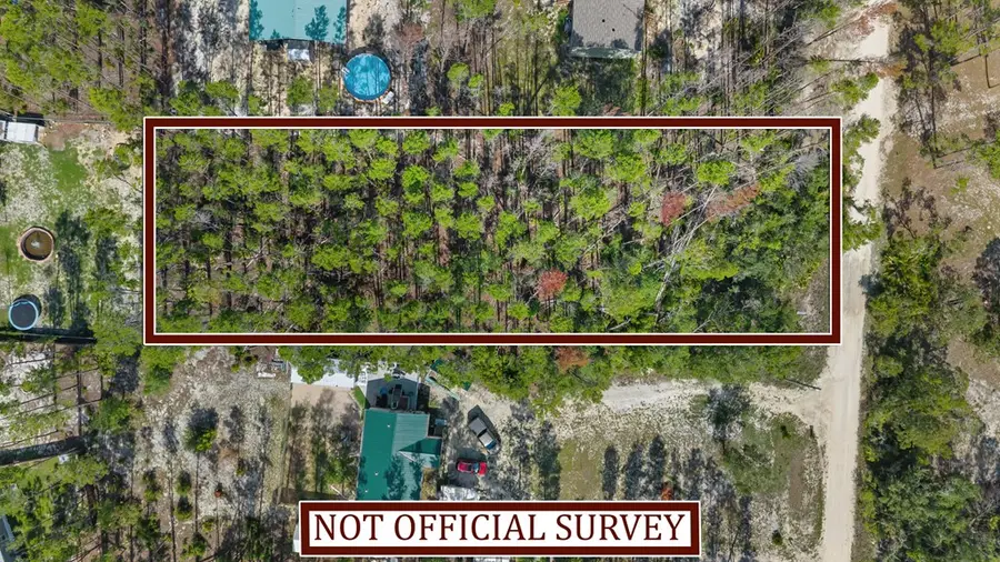 NE Oak Pond Ln, Steinhatchee, FL 32359 - #2