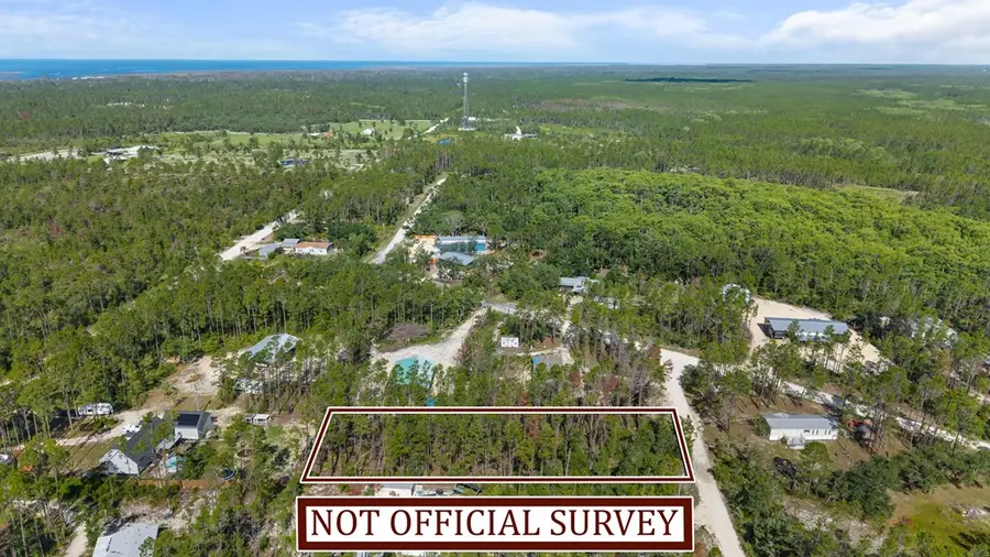 NE Oak Pond Ln, Steinhatchee, FL 32359 - #3