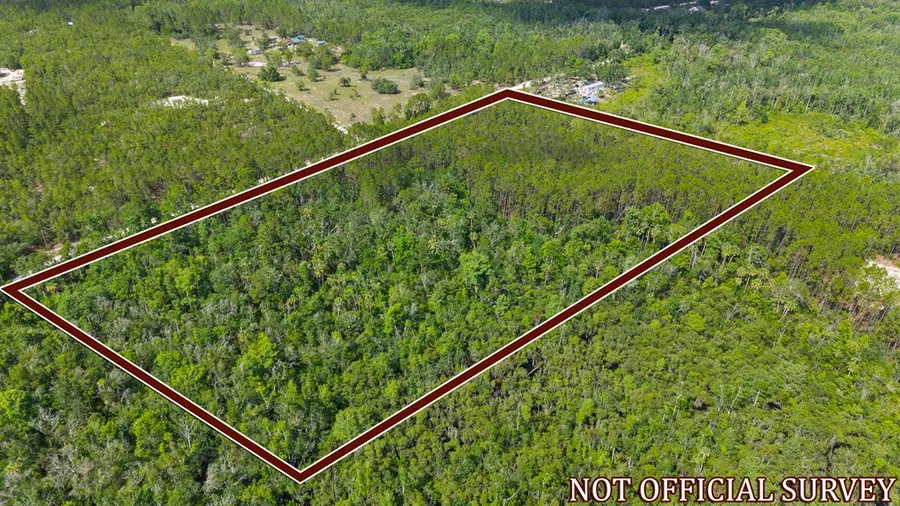 276 SW 348th Ave, Steinhatchee, FL 32359 - #2