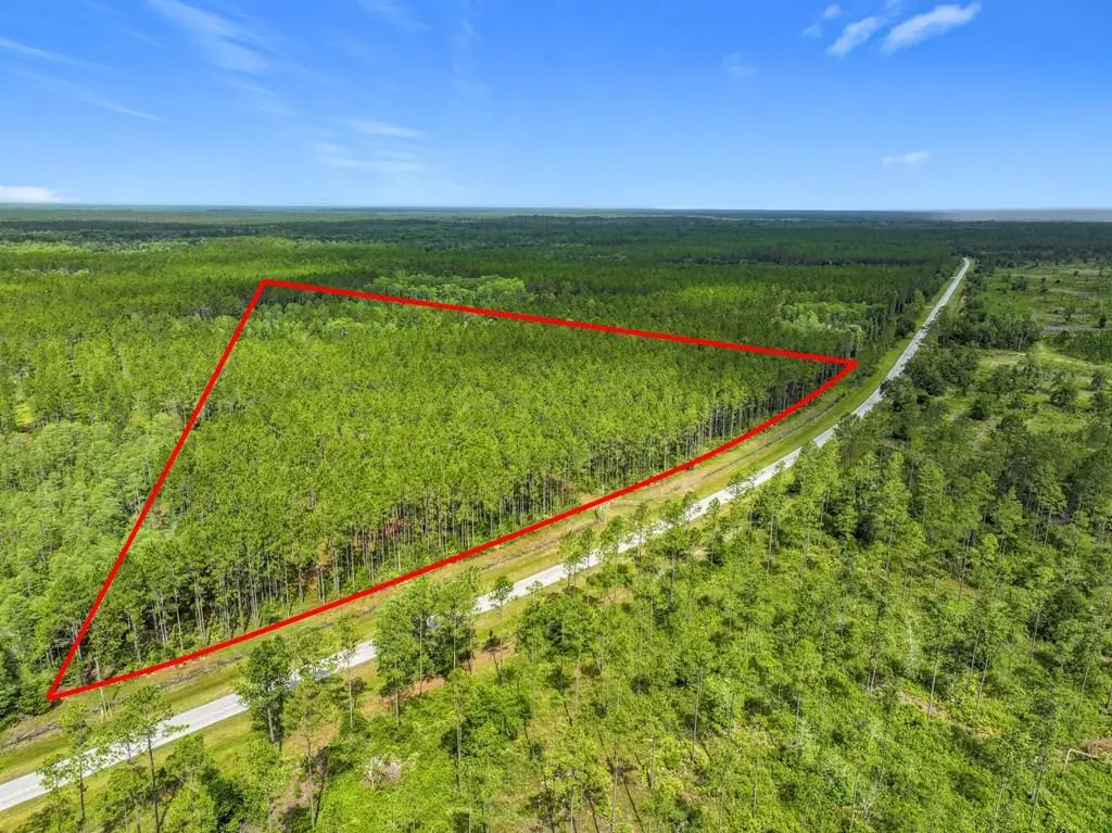 TBD NW County Road 336, Chiefland, FL 32626 - #1