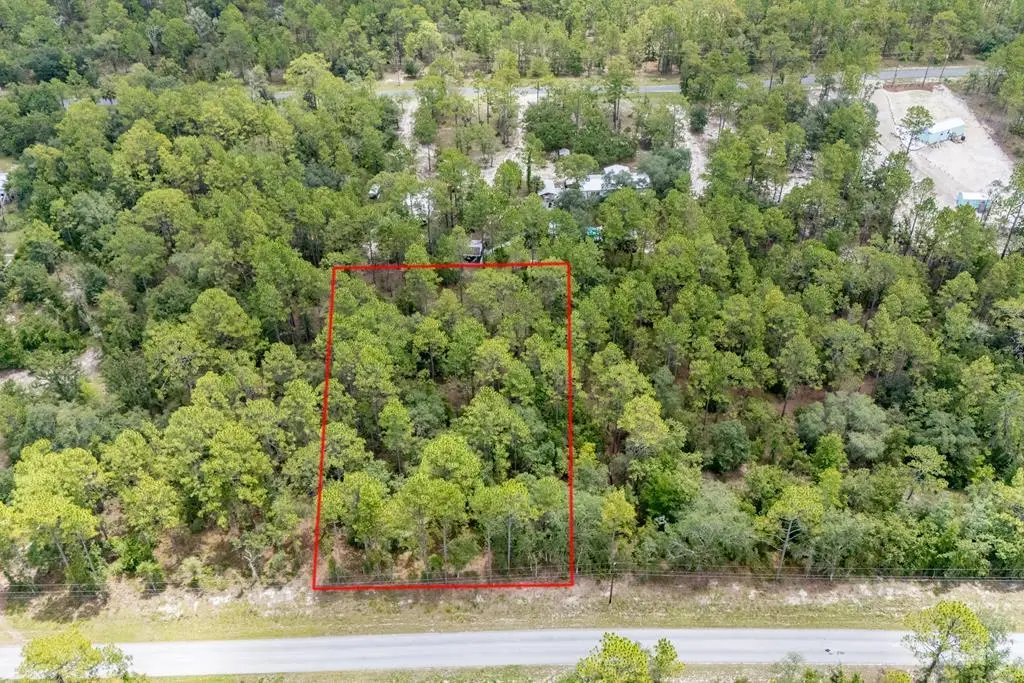 000 SE 125th Ct, Dunnellon, FL 34431 - #1