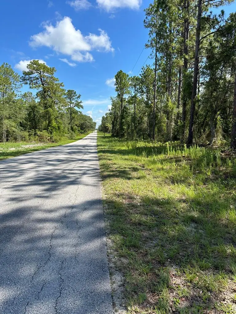 000 SE 125th Ct, Dunnellon, FL 34431 - #2