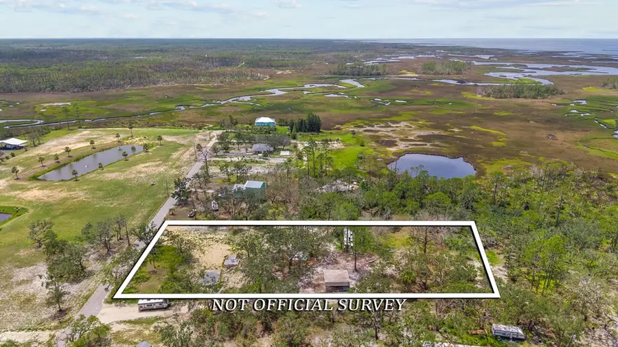 336 SW 911th St, Steinhatchee, FL 32359 - #2