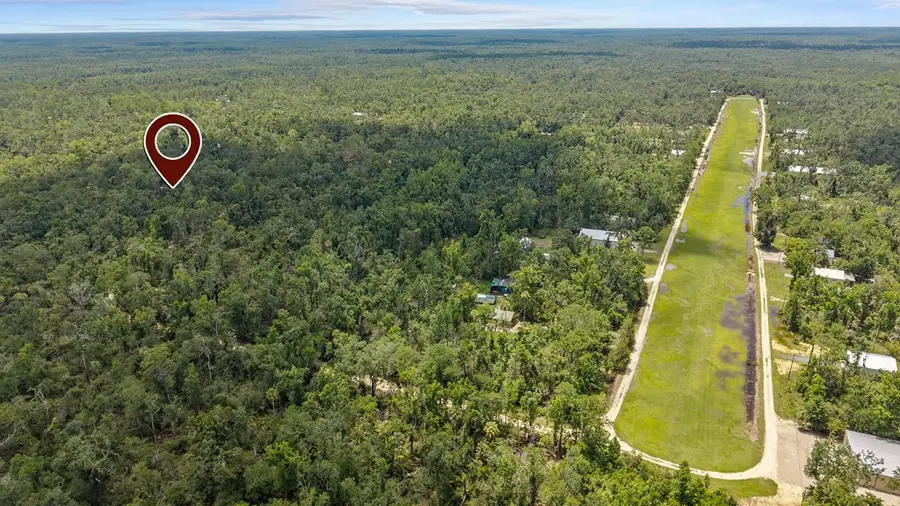 2338 NE Ancient Oaks Dr, Steinhatchee, FL 32359 - #2