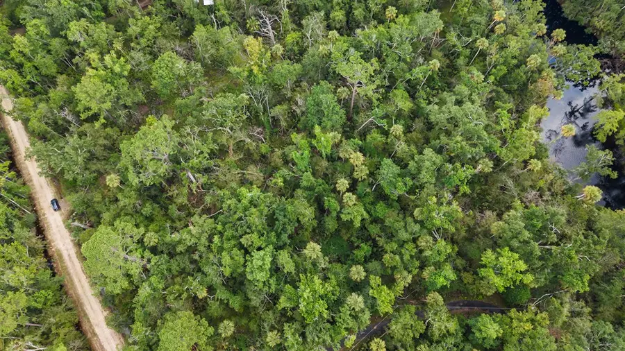 2338 NE Ancient Oaks Dr, Steinhatchee, FL 32359 - #3