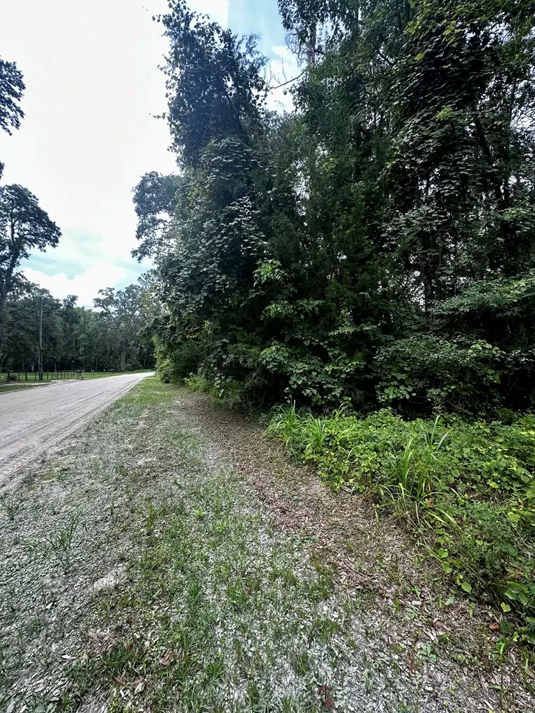 NE 642nd St, Old Town, FL 32680 - #2