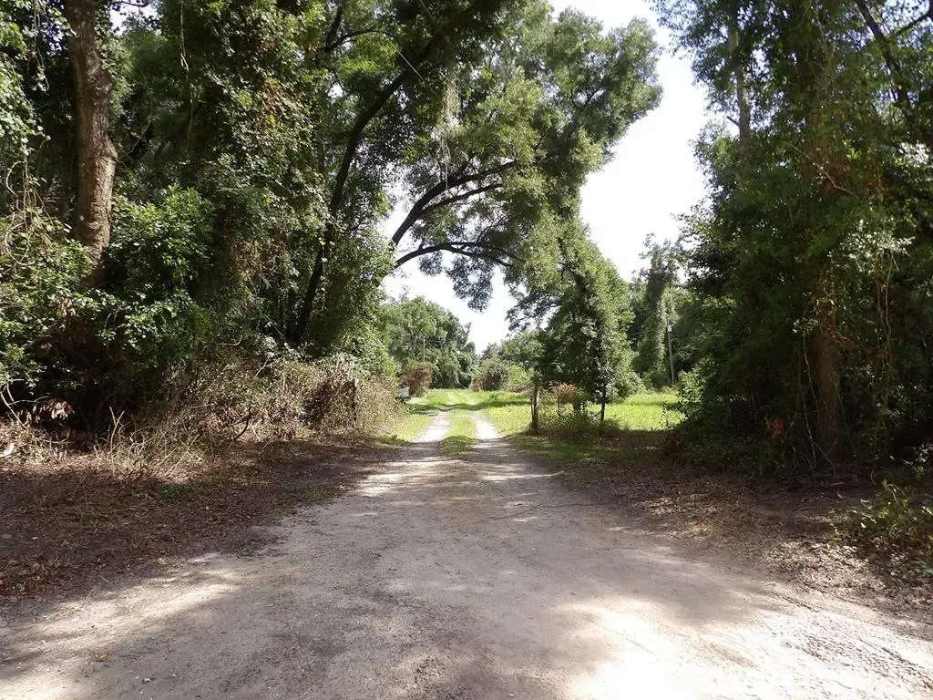 3450 NW 110th St, Chiefland, FL 32626 - #1