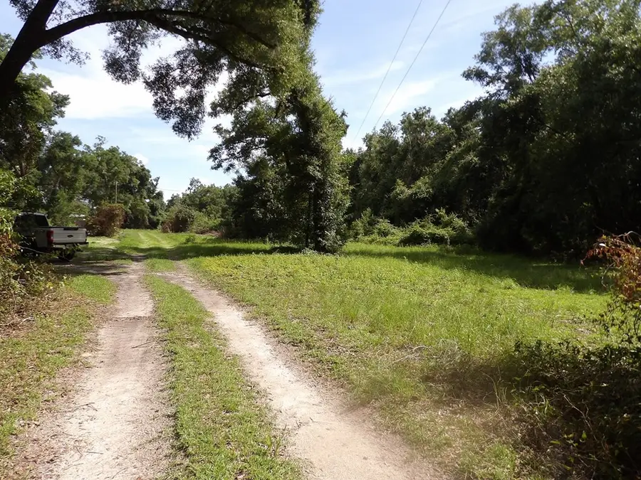 3450 NW 110th St, Chiefland, FL 32626 - #2