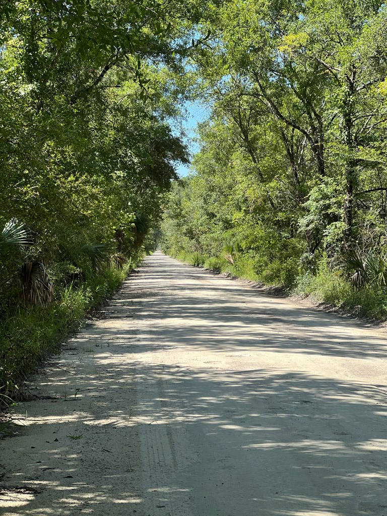 00 SW 717th Ln, Steinhatchee, FL 32359 - #2