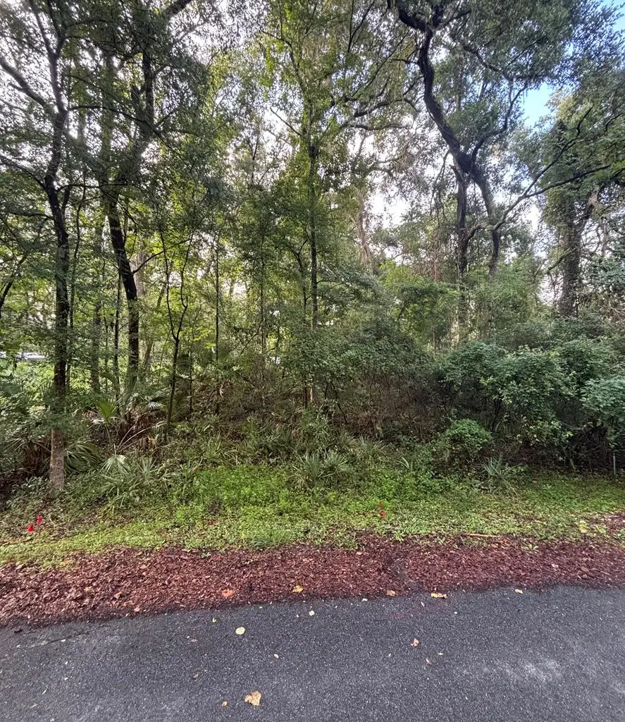 01 NE 83rd Ave, Old Town, FL 32680 - #1