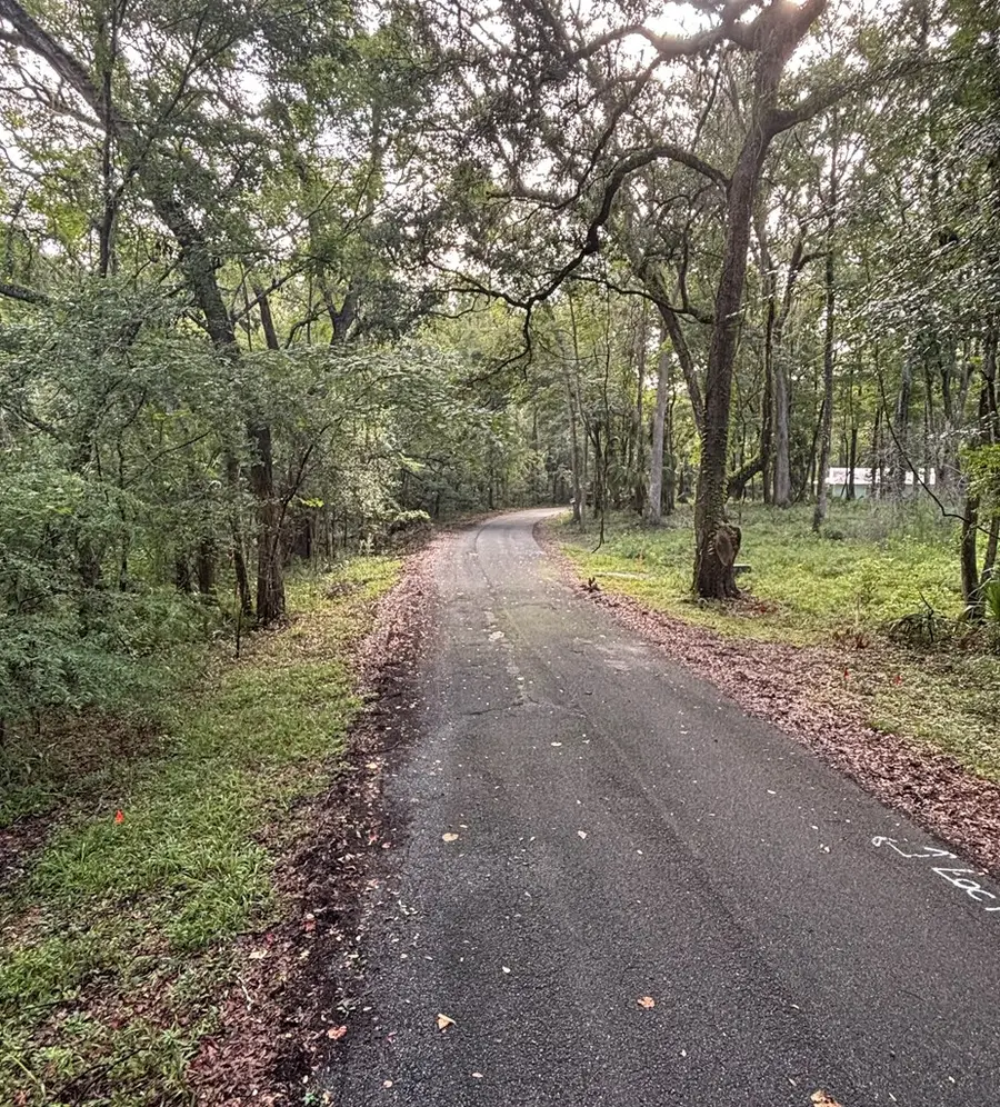 01 NE 83rd Ave, Old Town, FL 32680 - #3